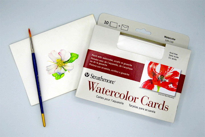 Watercolor 5 X 7 Postcards 20 Strathmore 300 Series 140 Lb Cardstock  Textured White Art Supplies Blank Cards Watercolour Cards 