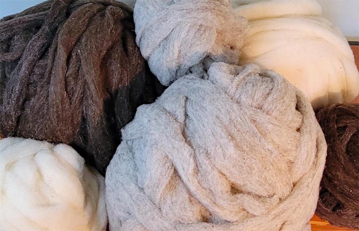 Rolag Natural Wool Roving • PAPER SCISSORS STONE