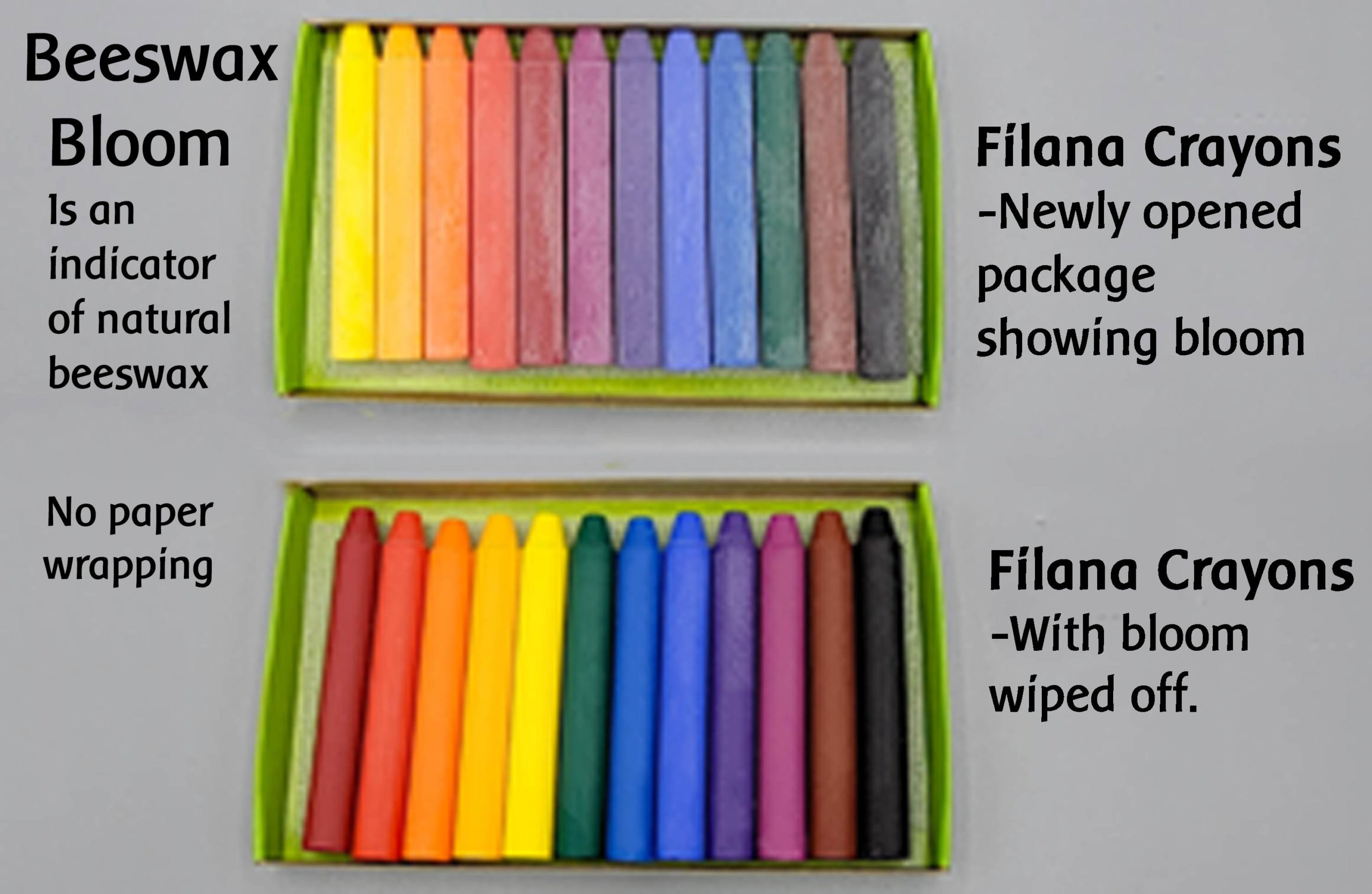 Filana Beeswax Stick Crayons, Skin Tones 8 - Treelight Toys