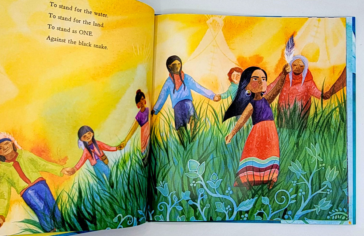 we are water protectors publisher we are water protectors publisher