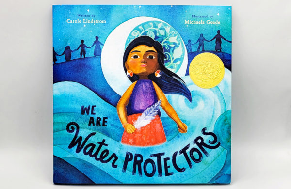 we are water protectors publisher