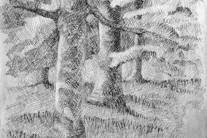 Sketch Paper